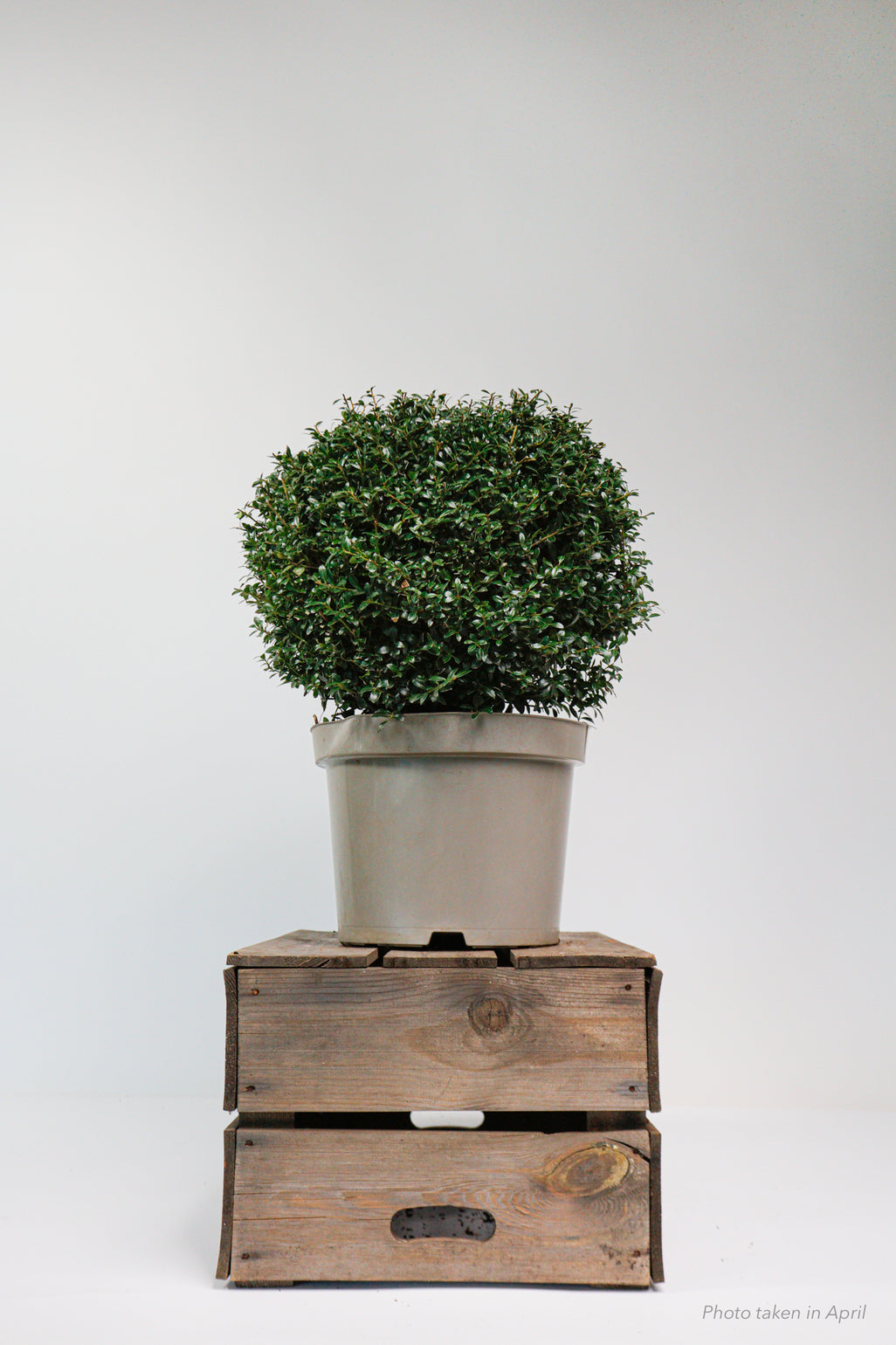 products/SotoProductShootLowQ-1927.jpg